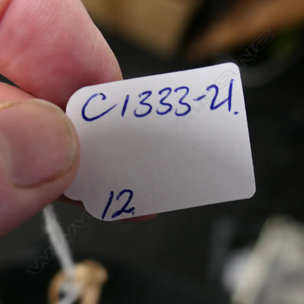 12 NZ PHOTOGRAPHY BOOKS/PUBLICATIONS 'The New Photographer' + 'Under The Aegis: The Virtues' Culbert etc Image 1++